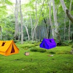 12768088_773552792775167_1028117442_o