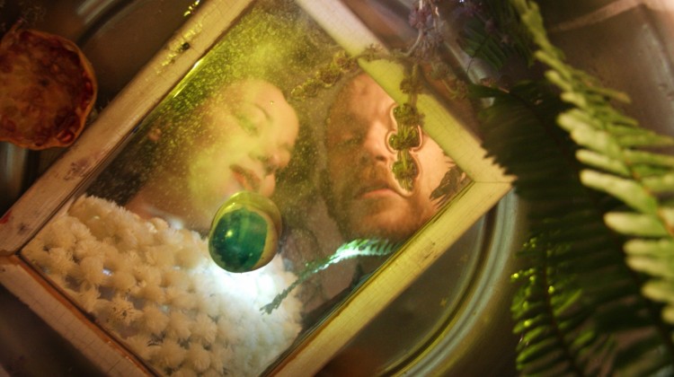 photo_thalassaxronwn_1