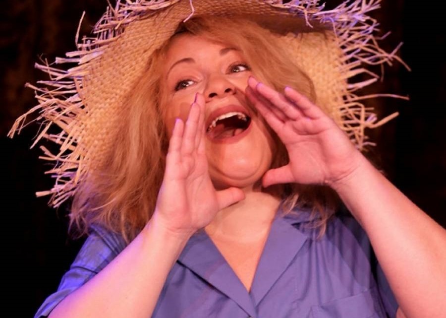 καθαριστρια1